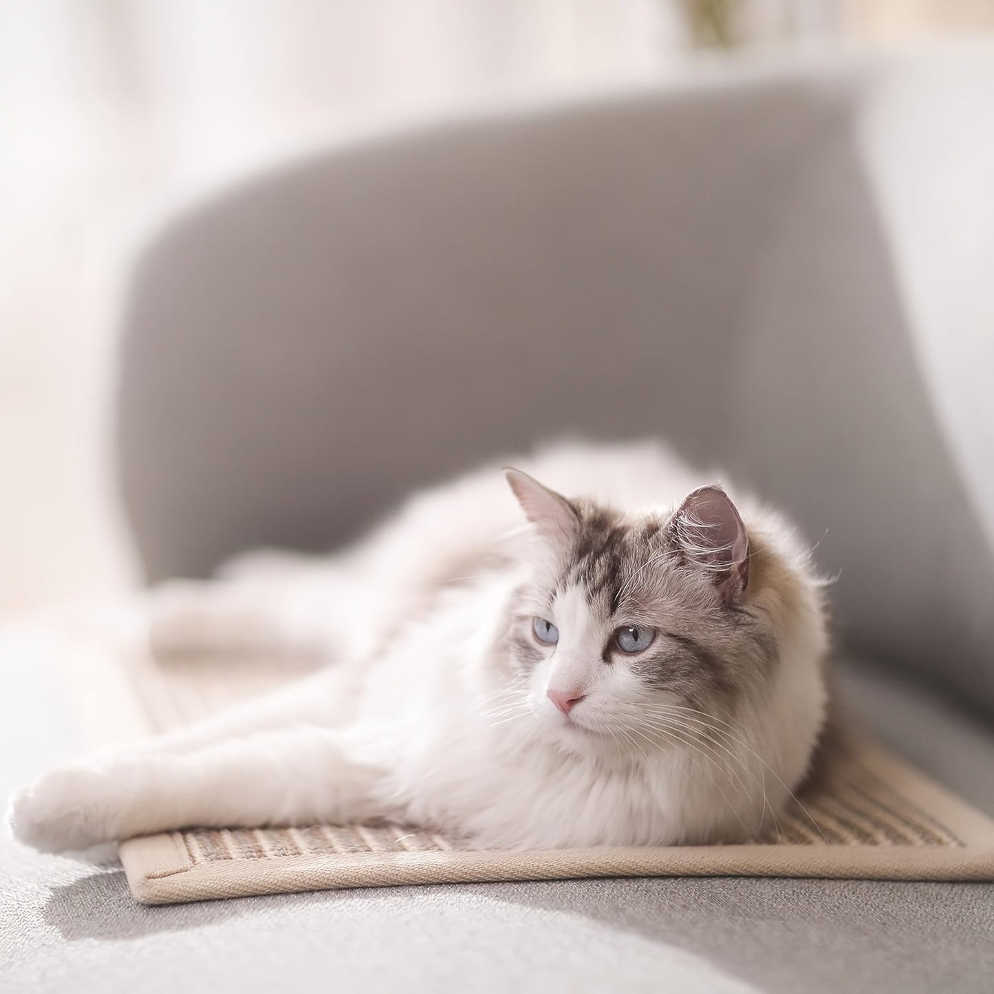 Premium Sisal Cat Scratching Mat - Horizontal, Thickened Cream Floor Pad for Claw Care & Furniture Protection, 23.6 x 15.7 Inches