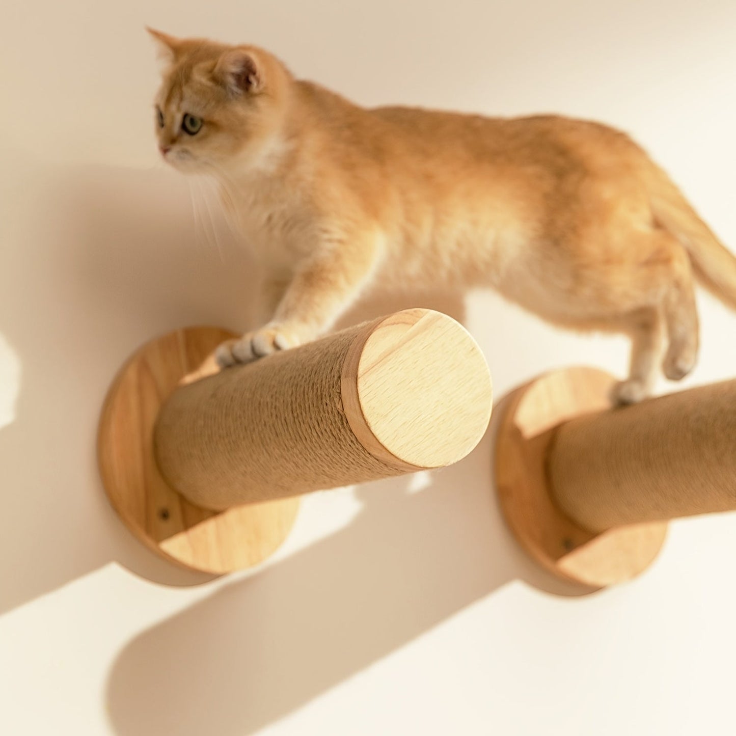 Cat Wall Furniture, 2 Pcs, 11.8 Inch Cat Climbing Step Wall Mounted With Jute Scratching For Most Kitten, Large Cats And Medium