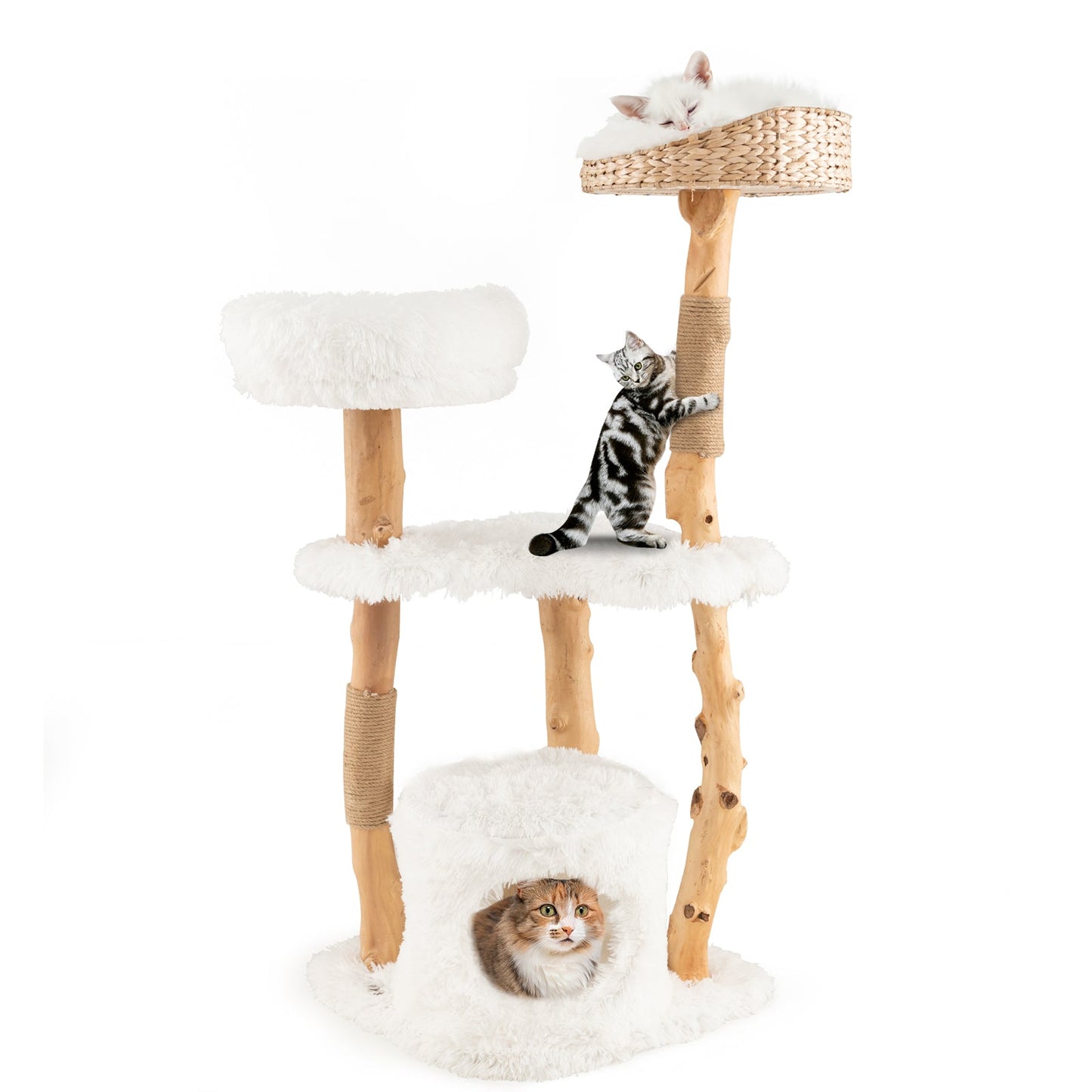 49" Multi-Layer Cat Tree, Solid Wood Cat Tower w/ Top Cattail Basket Cat Bed, Side Perch, Large Platform & Cat Condo, Natural Branch Cat Activity Center w/ Jute Scratching Posts for Indoor Cats