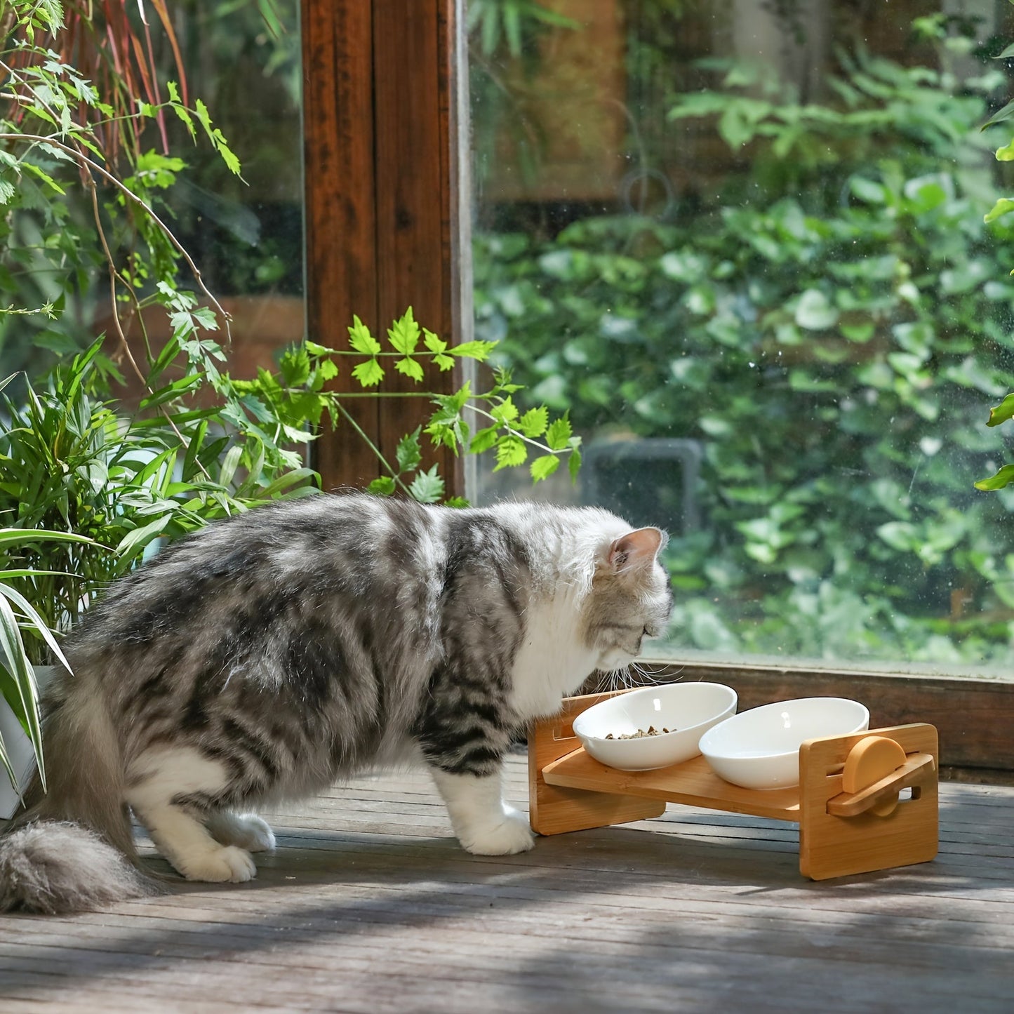 Whisker-Friendly Elevated Cat Bowls - 15° Tilted Raised Water Stand Feeder Set with Solid Bamboo Food Feeding Dishes for Cats, Small Dogs, and Puppies - Easy to Clean, Anti-Slip, and Space-Saving Design