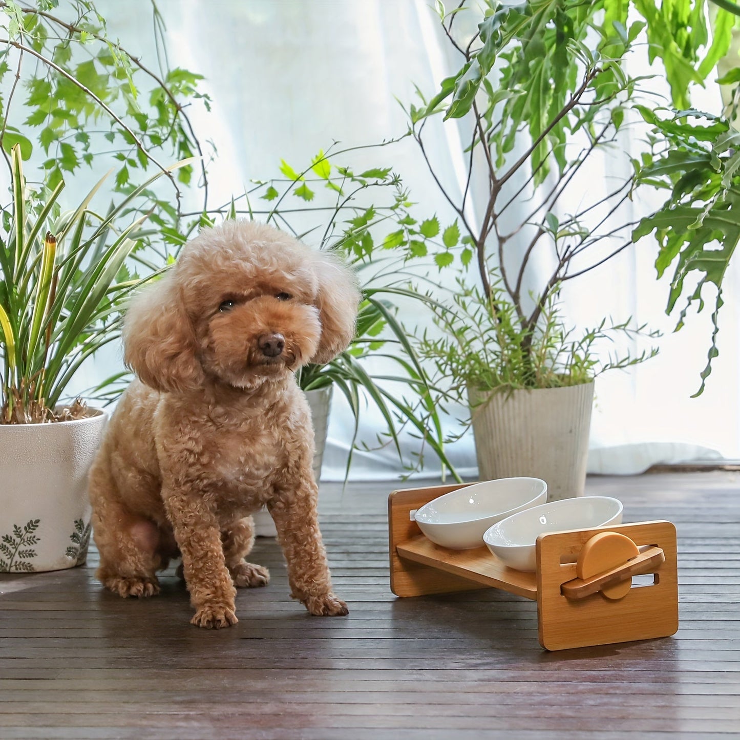 Whisker-Friendly Elevated Cat Bowls - 15° Tilted Raised Water Stand Feeder Set with Solid Bamboo Food Feeding Dishes for Cats, Small Dogs, and Puppies - Easy to Clean, Anti-Slip, and Space-Saving Design